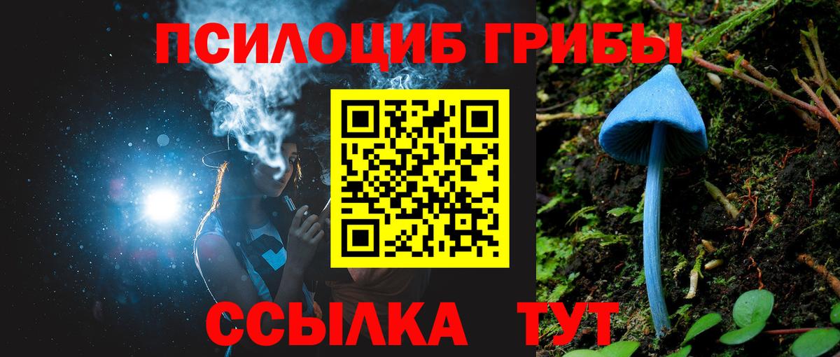 Вичуга  Псилоцибиновые грибы Cubensis  Галлюциногенные грибы Psilocybine cubensis  Вход с VPN 